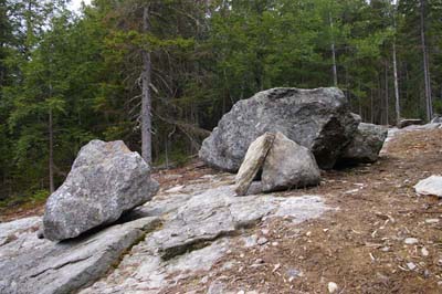 IMGP0442