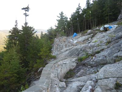 IMG_3558
